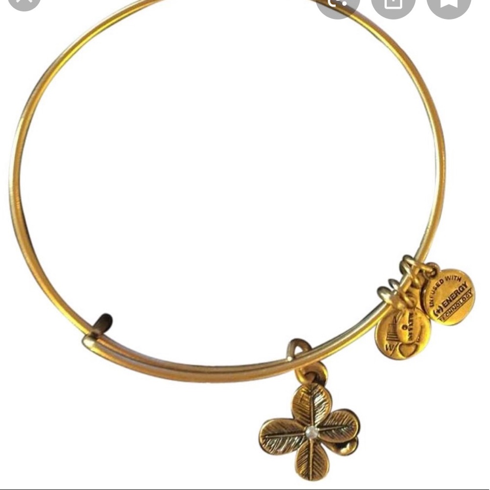 Alex and Ani Charm Bracelet